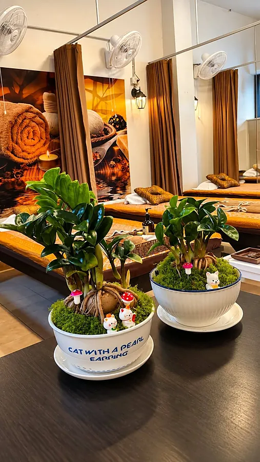 Fresh plants and flowers at reception